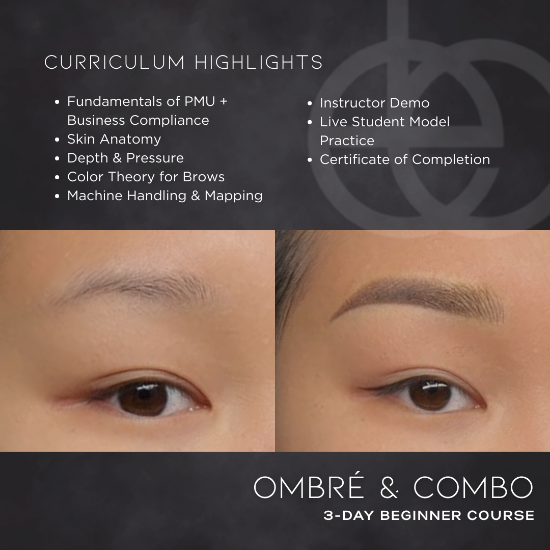 Ombre & Combo Brow Training (3-Day Beginner Course)